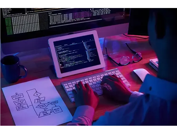 Exploitation Process