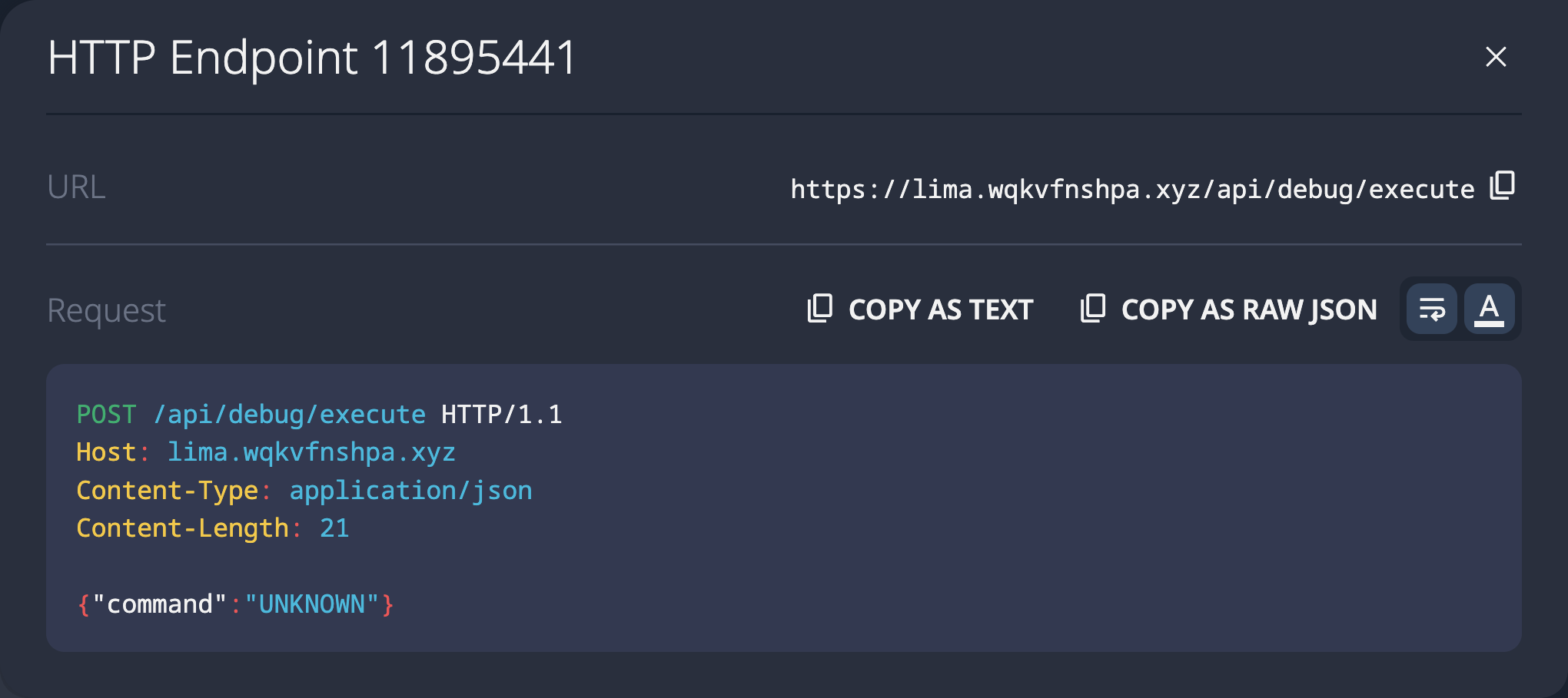 SolidPoint UI showing discovered POST /api/debug/execute endpoint